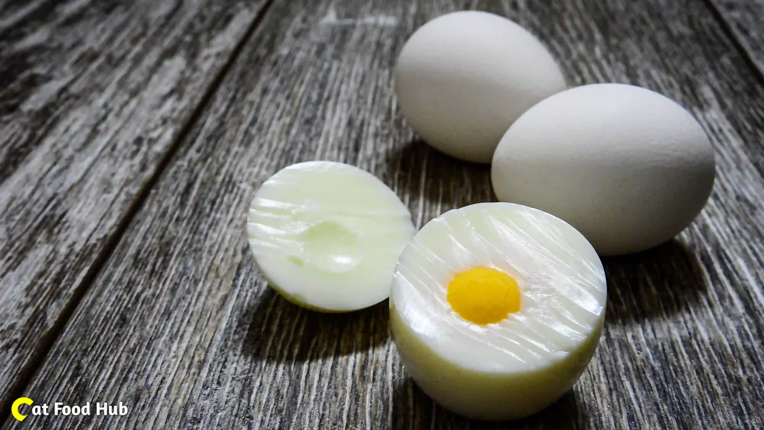Boiled Eggs for Cats Eggs for Cats