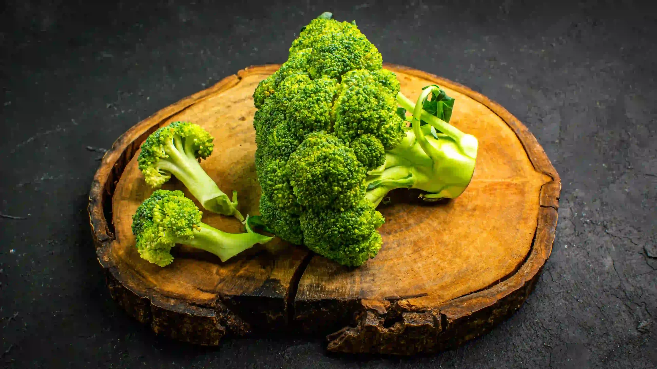 Broccoli for Cats Broccoli for Cat