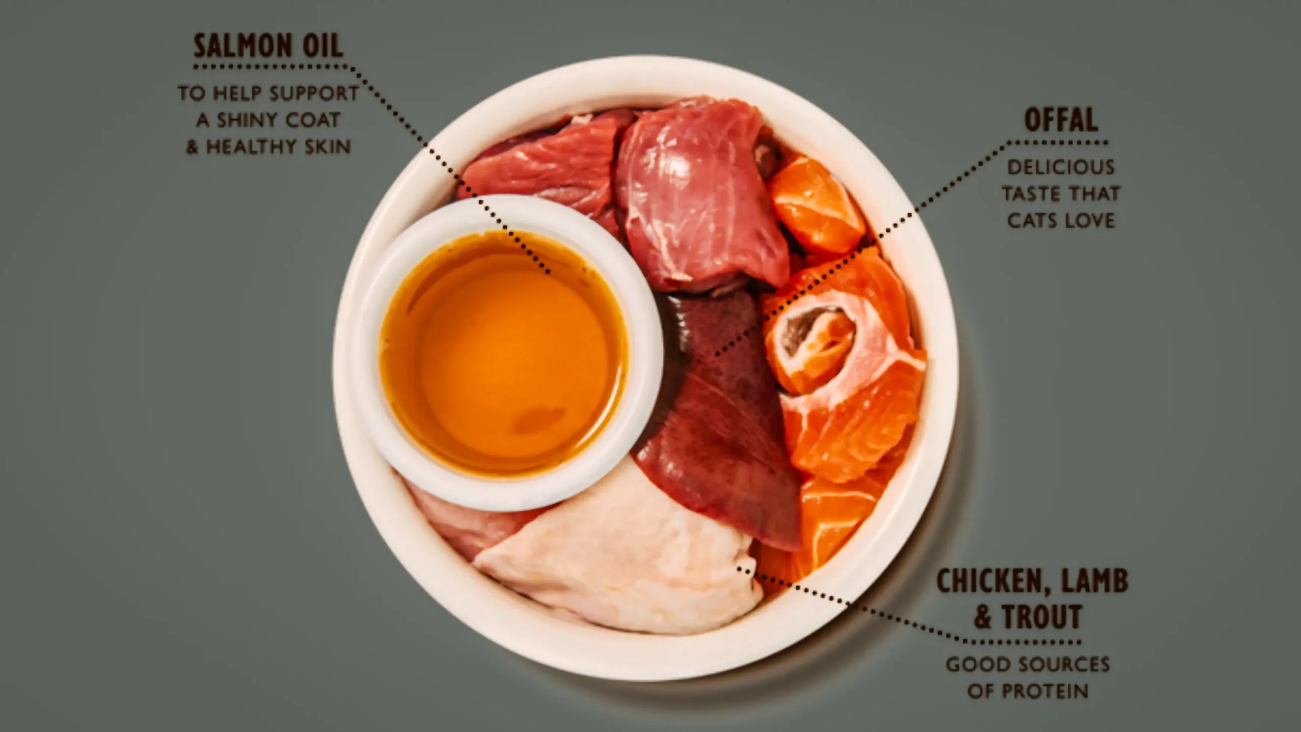 Chicken Paté for Mature Cats Chicken Paté for Mature Cats