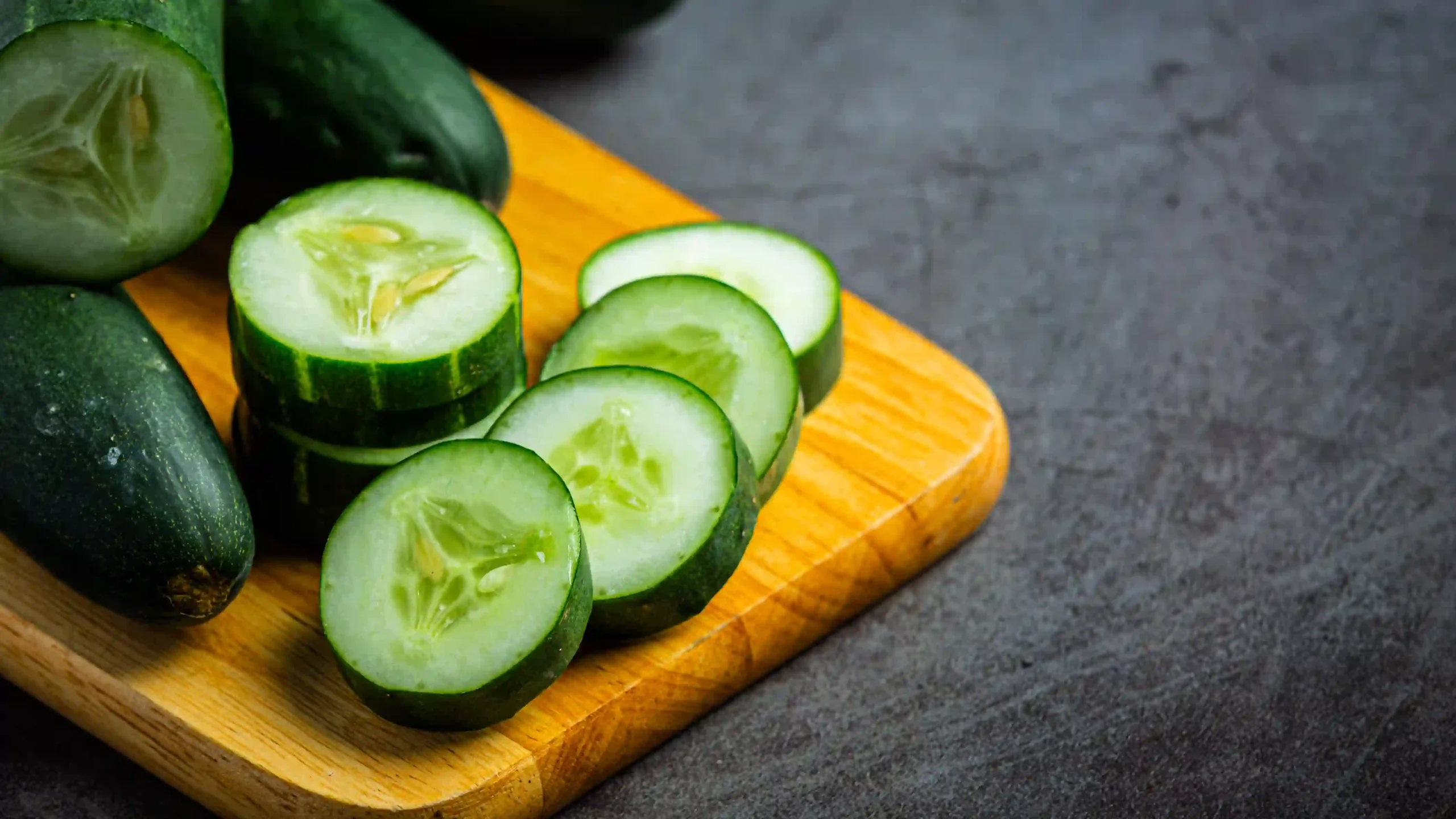 Cucumber for Cats Cucumber for Cat