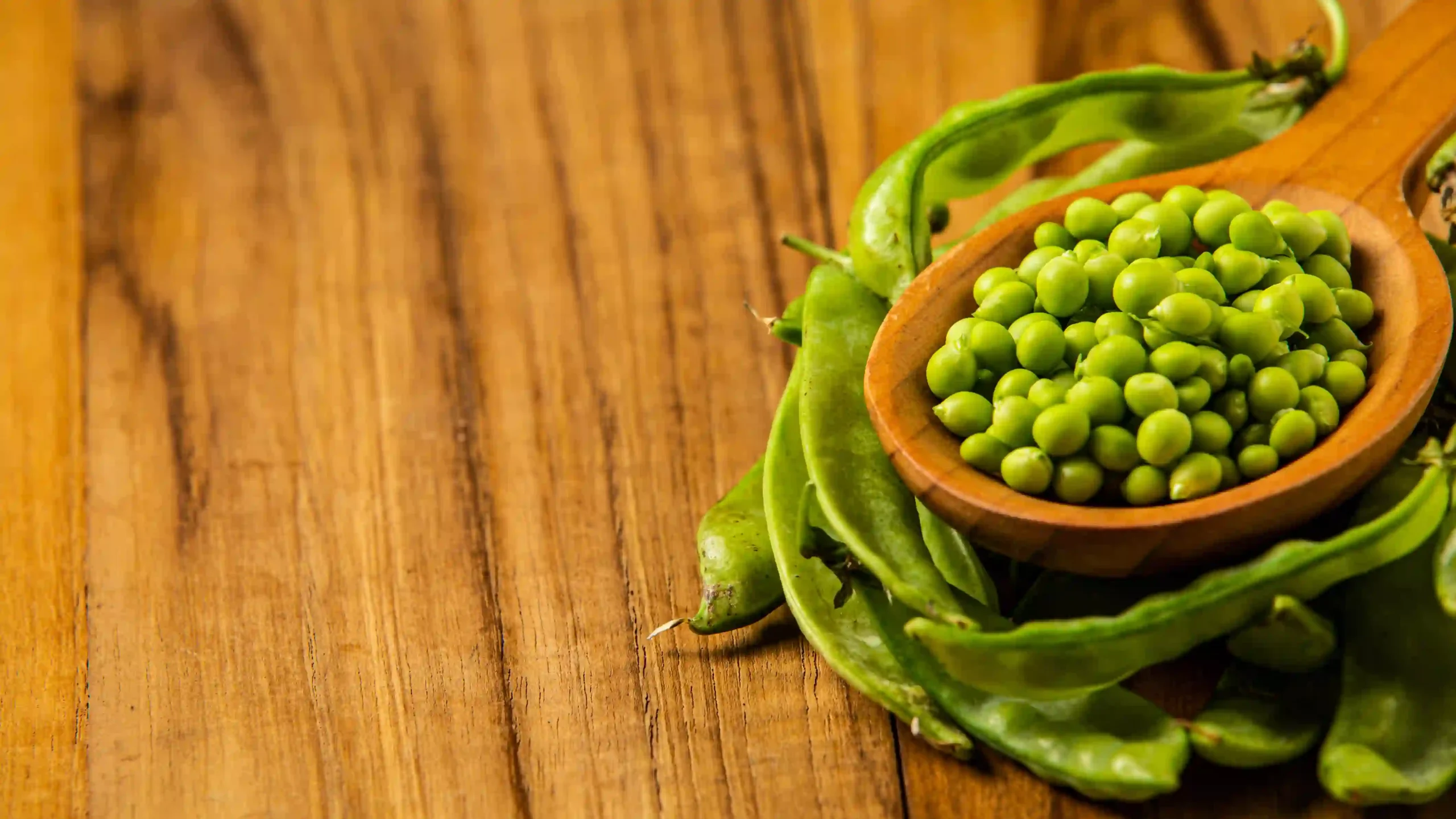 Green Beans for Cats Green Beans for Cat