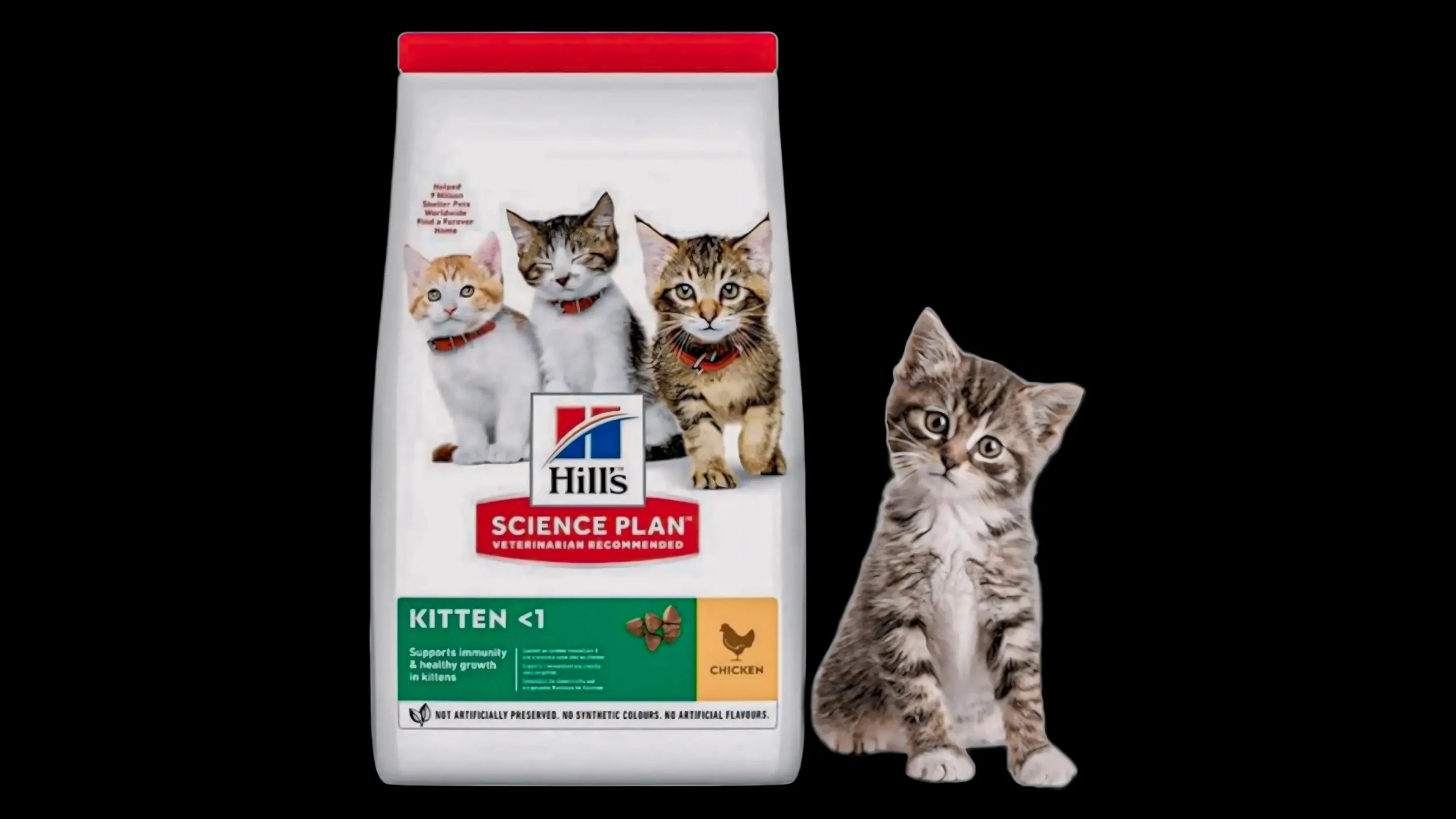 Hill’s Science Plan Kitten Dry Food Hill’s Science Plan Kitten Dry Food