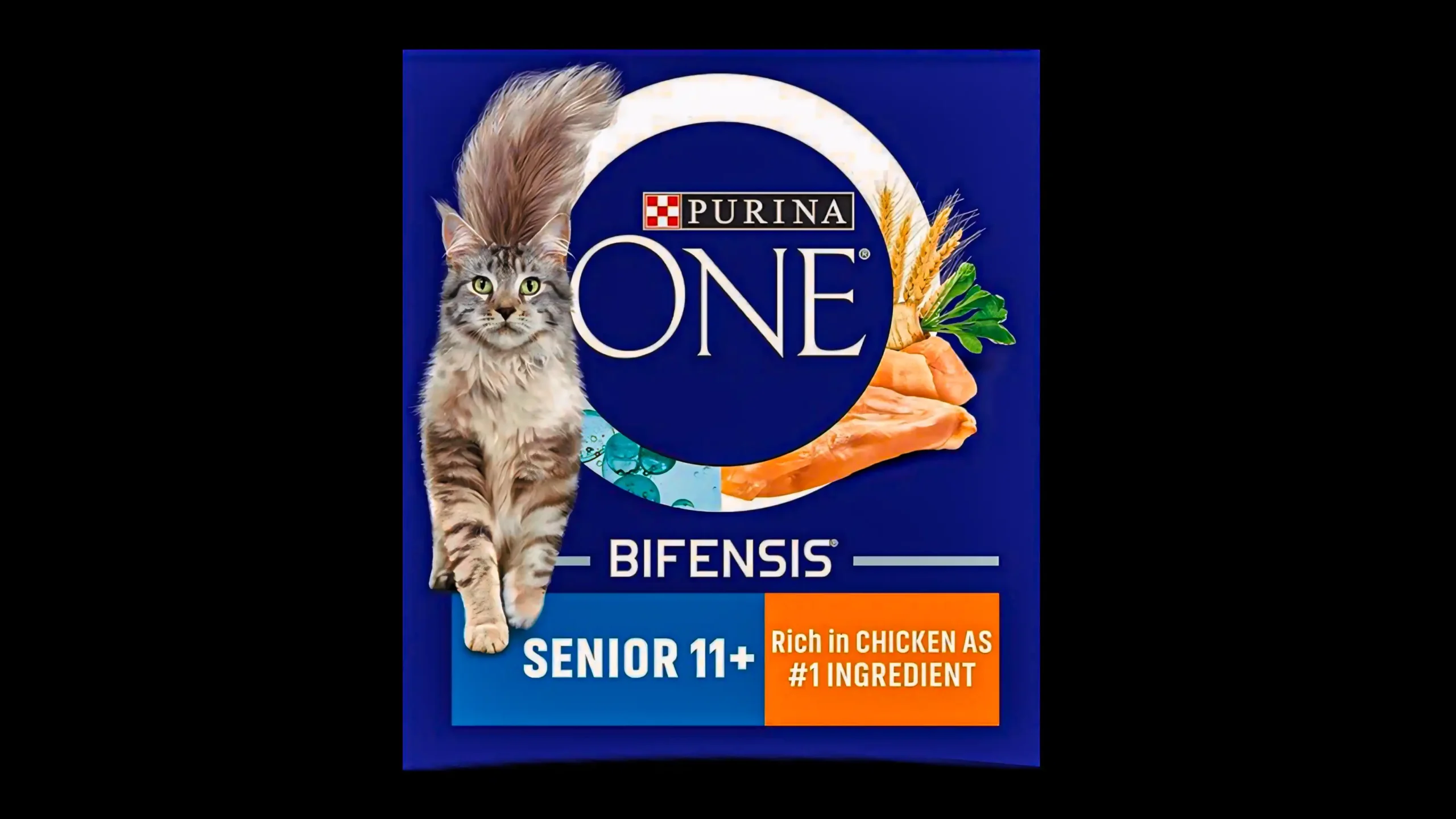 Purina ONE 11+ Dry Cat Food Purina ONE 11+ Dry Cat Food