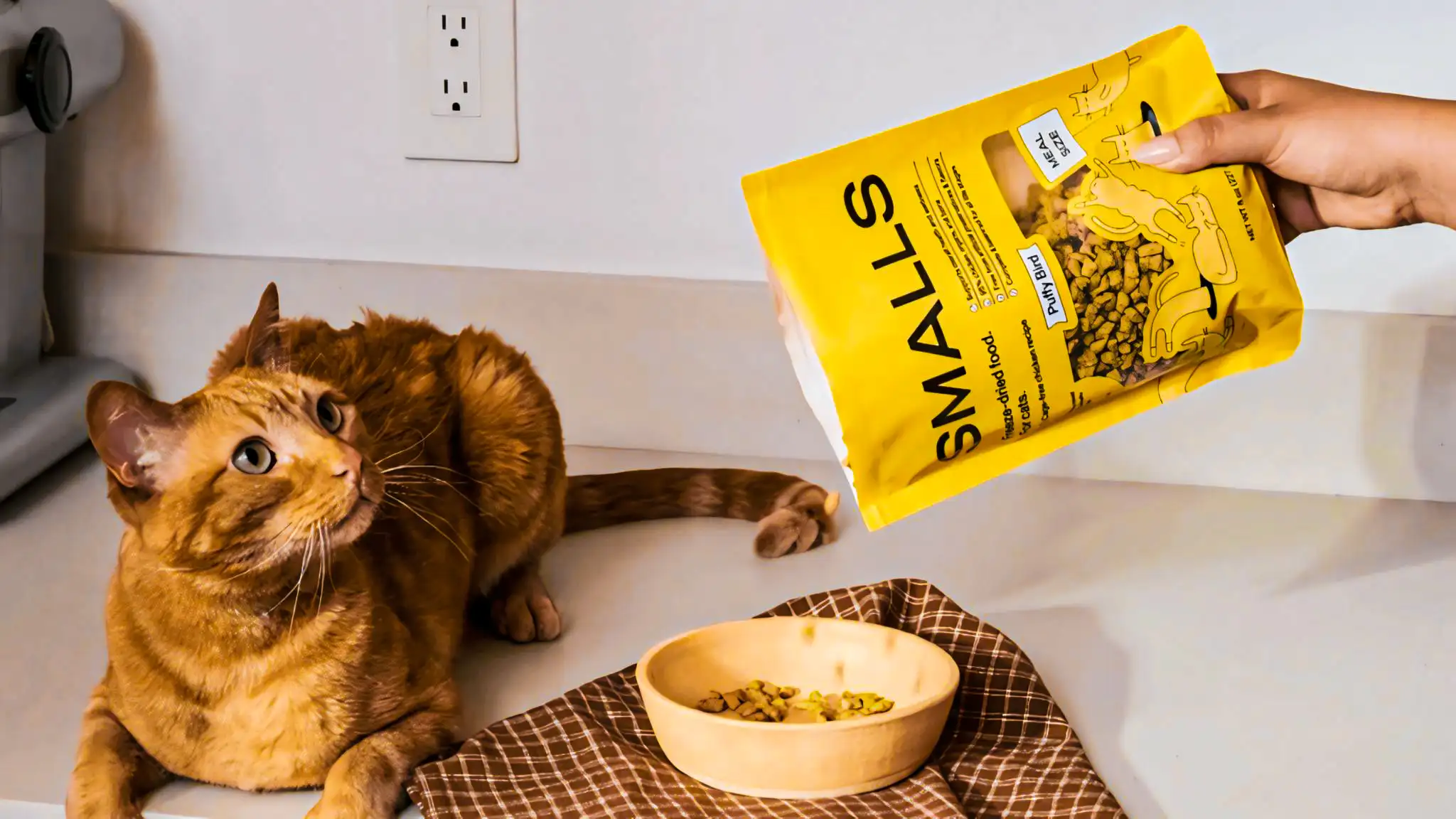Smalls Ground Bird Fresh Cat Food For Cats With Diarrhea​