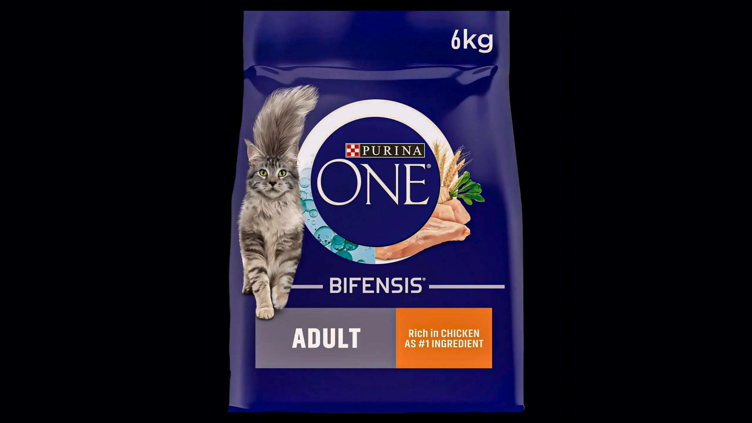 Purina ONE Adult Dry Cat Food Purina ONE Adult Dry Cat Food